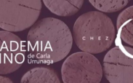 Beneficio muv academia del vino chez carlita